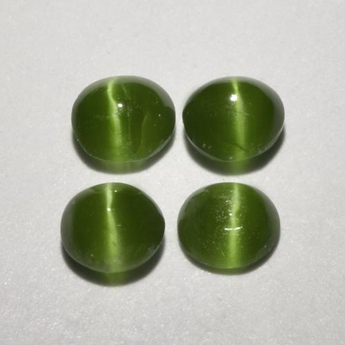 海藻グリーン キャッツアイオーガイト 宝石 - 0.2ct ラウンドカボション (ID: 519130)