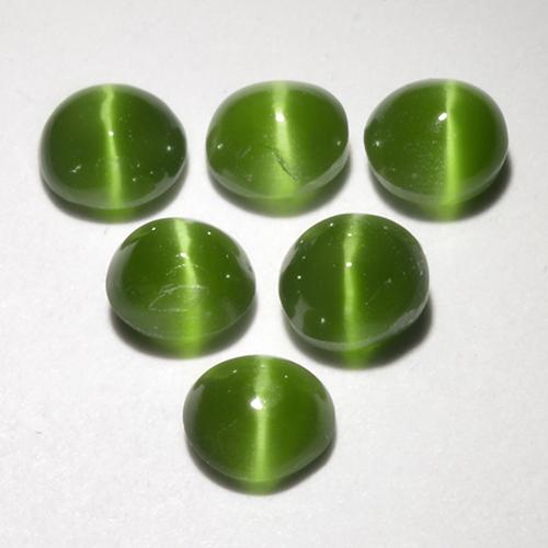 Verde alga Augita ojo de gato Gema - 0.2ct Cabujón Redondo (ID: 519132)