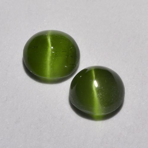 0.2ct (2 pcs) Deep Green Cat\'s Eye Augite Gems from Madagascar