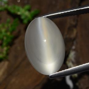 11.1ct Oval Cabochon Cream Cat's Eye Moonstone for sale thumb image of 11.1ct Oval Cabochon Cream Cat's Eye Moonstone (ID: 481509)