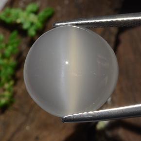 10.6ct Round Cabochon Cream Cat's Eye Moonstone for sale thumb image of 10.6ct Round Cabochon Cream Cat's Eye Moonstone (ID: 481510)
