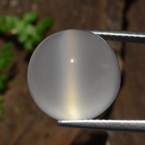 10.5ct Round Cabochon Cream Cat's Eye Moonstone for sale thumb image of 10.5ct Round Cabochon Cream Cat's Eye Moonstone (ID: 481512)