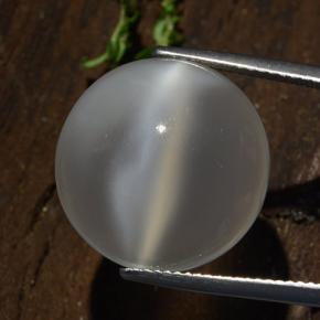 14.3ct Round Cabochon Cream Cat's Eye Moonstone for sale thumb image of 14.3ct Round Cabochon Cream Cat's Eye Moonstone (ID: 481515)