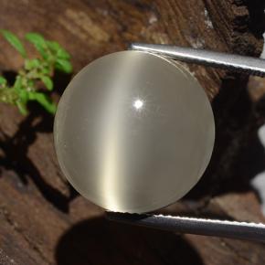 19.1ct Round Cabochon Cream Cat's Eye Moonstone for sale thumb image of 19.1ct Round Cabochon Cream Cat's Eye Moonstone (ID: 481520)
