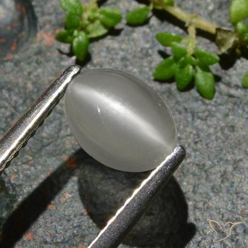 1.02 ct White Cat's Eye Moonstone Stone, Natural Cat's Eye Moonstone in Oval Cabochon Shape for Sale