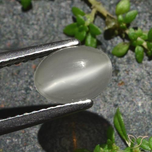 Cat's Eye Moonstone Gemstone in 8 x 6 mm (calibrated) Size for Sale, Cat's Eye Moonstone Stone in Warm White Color