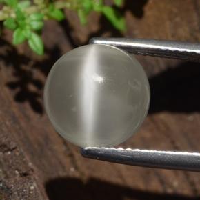 Warmweiß Mondstein Katzenauge Edelstein - 4.8ct Rund Cabochon (ID: 481523)