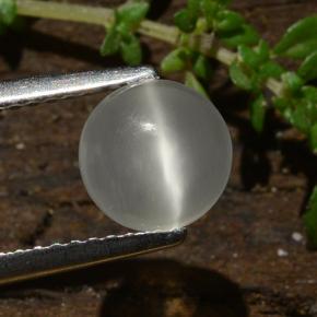 1.1ct Round Cabochon Cream Cat's Eye Moonstone Gem for sale 1.1ct Round Cabochon Cream Cat's Eye Moonstone Gem (ID: 481531)