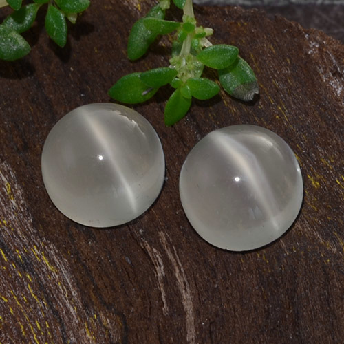 Blanco cálido Piedra de Luna Ojo de Gato Gema - 1.3ct Cabujón Redondo (ID: 481543)