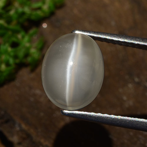 Blanco cálido Piedra de Luna Ojo de Gato Gema - 3.2ct Cabujón Óvalo (ID: 481758)