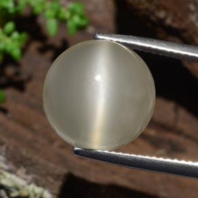 9.8ct Round Cabochon Cream Cat's Eye Moonstone for sale thumb image of 9.8ct Round Cabochon Cream Cat's Eye Moonstone (ID: 481763)