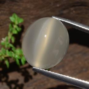 9.9ct Oval Cabochon Cream Cat's Eye Moonstone Gem for sale 9.9ct Oval Cabochon Cream Cat's Eye Moonstone Gem (ID: 481766)