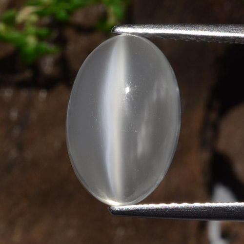 Clear White Cat's Eye Moonstone Gem - 4.2ct Oval Cabochon (ID: 481770)