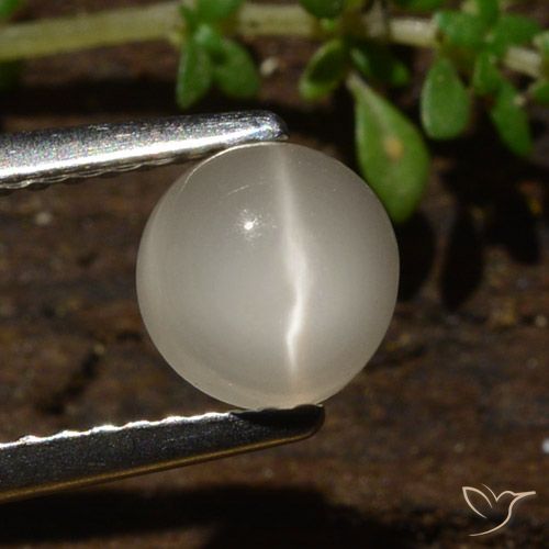 1,09 ct runder Katzenaugen-Mondstein, 6,2 mm aus Indien, Photo A