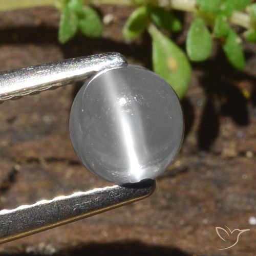 0.84ct Natural White Cat's Eye Moonstone, Round, Translucent