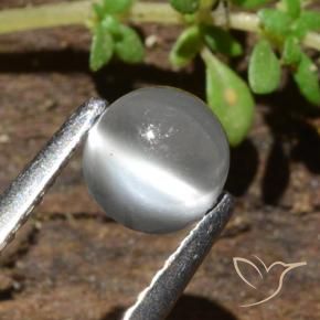 0.84 ct White Cat's Eye Moonstone Stone, Natural Cat's Eye Moonstone in Round Cabochon Shape for Sale