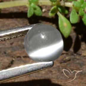 Cat's Eye Moonstone Gemstone in 5 mm (calibrated) Size for Sale, Cat's Eye Moonstone Stone in White Color