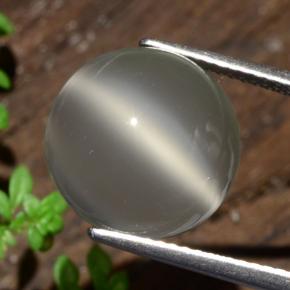 8ct Round Cabochon Cream Cat's Eye Moonstone for sale thumb image of 8ct Round Cabochon Cream Cat's Eye Moonstone (ID: 481783)