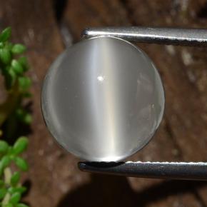 8.9ct Round Cabochon Cream Cat's Eye Moonstone for sale thumb image of 8.9ct Round Cabochon Cream Cat's Eye Moonstone (ID: 481787)