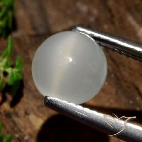 2.09 ct White Cat's Eye Moonstone Stone, Natural Cat's Eye Moonstone in Round Cabochon Shape for Sale