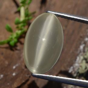 Warm White Cat's Eye Moonstone Gem - 6.4ct Oval Cabochon (ID: 481792)