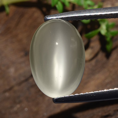 Blanco cálido Piedra de Luna Ojo de Gato Gema - 5.9ct Cabujón Óvalo (ID: 481800)
