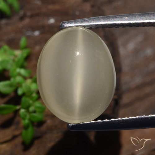 12.2 x 10mm Oval Yellow Cat's Eye Moonstone from India, Weight of 5.35ct, Natural untreated Gemstone in Translucent Clarity, 1pc Oval Cabochon Cat's Eye Moonstone - Color: Light Yellow, Mohs Hardness of 6 - 6.5, Photo A