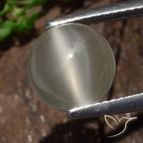 3.25 ct White Cat's Eye Moonstone Stone, Natural Cat's Eye Moonstone in Round Cabochon Shape for Sale