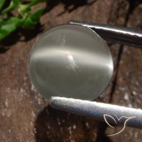 Cat's Eye Moonstone Gemstone in 9 mm (calibrated) Size for Sale, Cat's Eye Moonstone Stone in Warm White Color