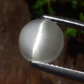 White Cat's Eye Moonstone Gem - 2.2ct Round Cabochon (ID: 481810)