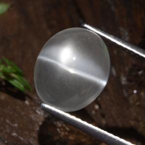 Clear White Cat's Eye Moonstone Gem - 4.4ct Oval Cabochon (ID: 481817)