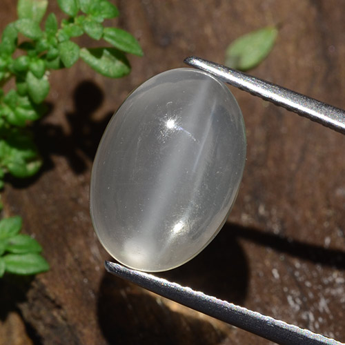 Clear White Cat's Eye Moonstone Gem - 5ct Oval Cabochon (ID: 481822)