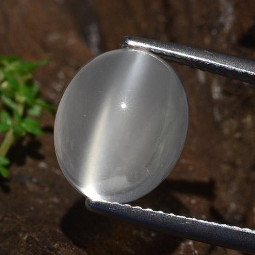 Blanco Piedra de Luna Ojo de Gato Gema - 5.5ct Cabujón Óvalo (ID: 481823)