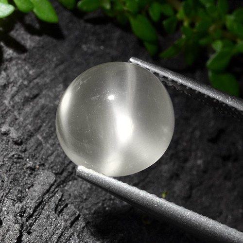 来自印度的 3,54 克拉圆形 白色月光石猫眼,尺寸 10,1 mm 毫米,透明净度,天然宝石,1 暖白月光石猫眼,莫氏硬度为 6 - 6,5, Photo A