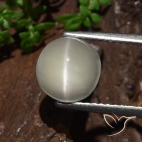 2.30 ct Yellow Cat's Eye Moonstone Stone, Natural Cat's Eye Moonstone in Round Cabochon Shape for Sale