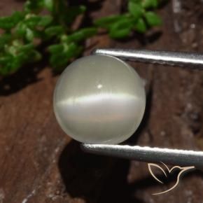 Cat's Eye Moonstone Gemstone in 8 mm (calibrated) Size for Sale, Cat's Eye Moonstone Stone in Light Yellow Color