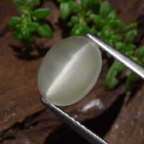 1.7ct Oval Cabochon Cream Cat's Eye Moonstone for sale thumb image of 1.7ct Oval Cabochon Cream Cat's Eye Moonstone (ID: 481835)