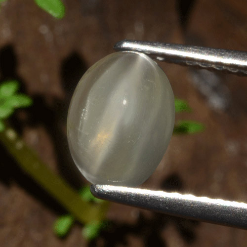 Светло-желтый Лунный Камень Кошачий Глаз Камень - 1.7ct Овал Кабошон (ID: 481838)