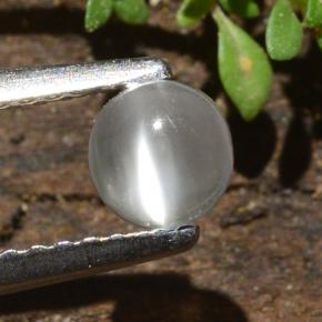 0.5ct Round Cabochon Cream Cat's Eye Moonstone Gem for sale 0.5ct Round Cabochon Cream Cat's Eye Moonstone Gem (ID: 481859)