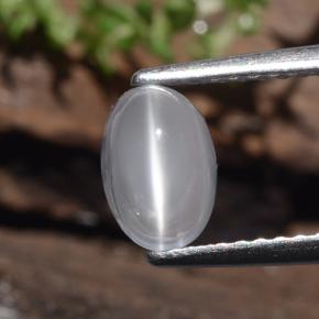 1ct Oval Cabochon White Cat's Eye Moonstone for sale thumb image of 1ct Oval Cabochon White Cat's Eye Moonstone (ID: 481997)