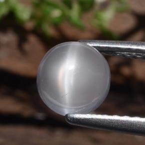 1.2ct Round Cabochon White Cat's Eye Moonstone for sale thumb image of 1.2ct Round Cabochon White Cat's Eye Moonstone (ID: 481999)