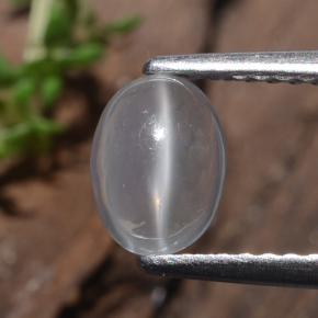 0.9ct Oval Cabochon Cream Cat's Eye Moonstone for sale thumb image of 0.9ct Oval Cabochon Cream Cat's Eye Moonstone (ID: 482005)