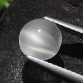5 pezzi di 2mm Round-FACET Bianco naturale-Occhio Gatti indiano Moonstone gemme 