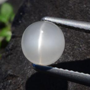 1.6ct Round Cabochon White Cat's Eye Moonstone for sale thumb image of 1.6ct Round Cabochon White Cat's Eye Moonstone (ID: 497394)