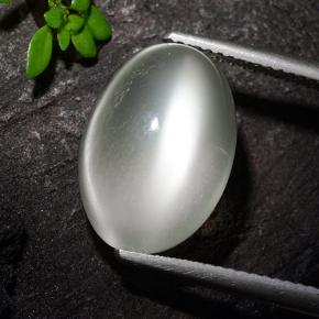 9.8ct Oval Cabochon White Cat's Eye Moonstone for sale thumb image of 9.8ct Oval Cabochon White Cat's Eye Moonstone (ID: 497395)