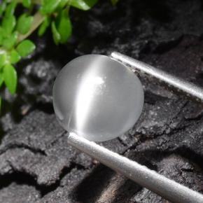 1.6ct Round Cabochon White Cat's Eye Moonstone for sale thumb image of 1.6ct Round Cabochon White Cat's Eye Moonstone (ID: 497399)