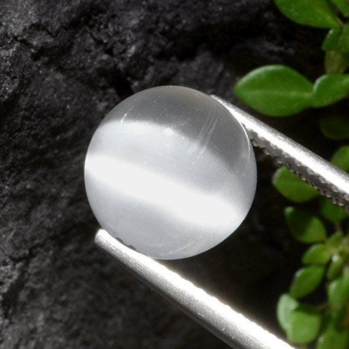 Translucent White Лунный Камень Кошачий Глаз Камень - 4.5ct Круглый Кабошон (ID: 497406)