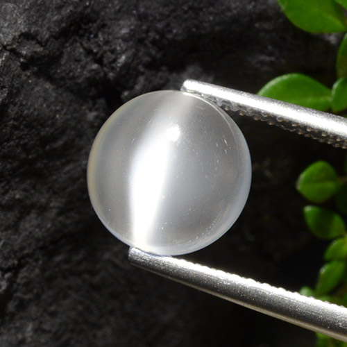 Translucent White Лунный Камень Кошачий Глаз Камень - 3.1ct Круглый Кабошон (ID: 497408)