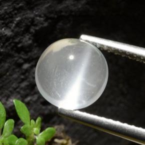 1.9ct Round Cabochon White Cat's Eye Moonstone for sale thumb image of 1.9ct Round Cabochon White Cat's Eye Moonstone (ID: 497412)