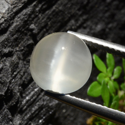 Translucent White Cat's Eye Moonstone Gem - 3.4ct Round Cabochon (ID: 497413)